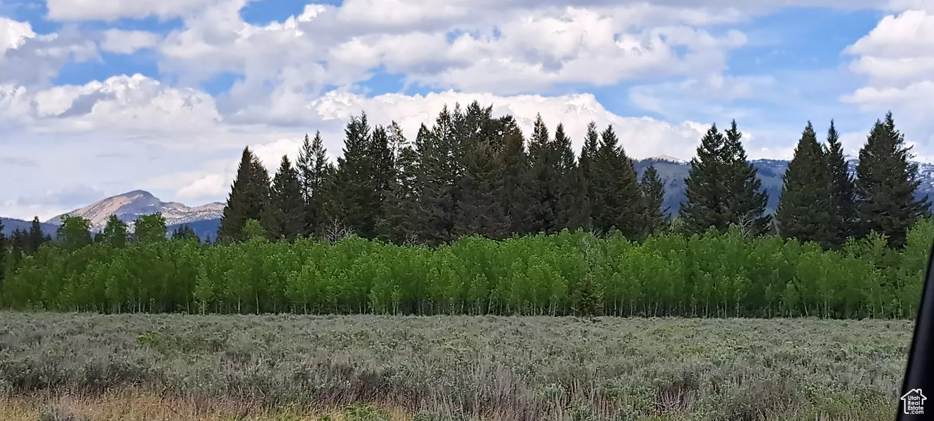 Address Not Disclosed