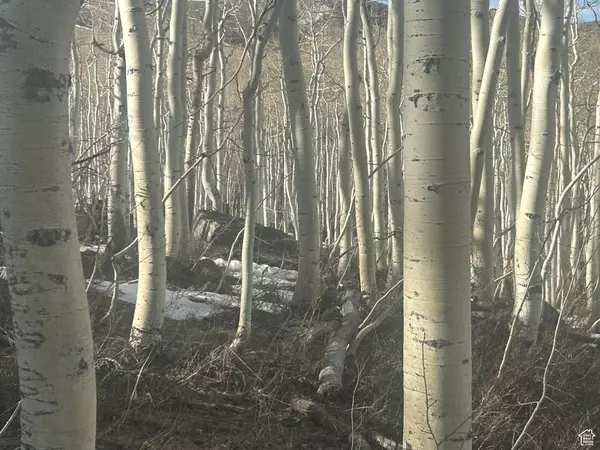 Midway, UT 84049,2496 W MARS WAY #179