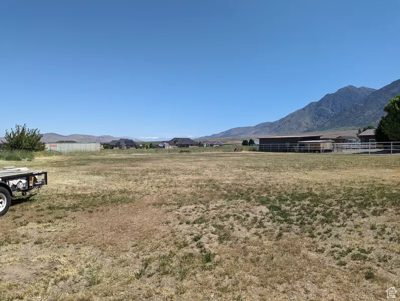 Address Not Disclosed