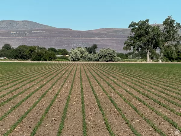 Brigham City, UT 84302,5375 N 3600 W