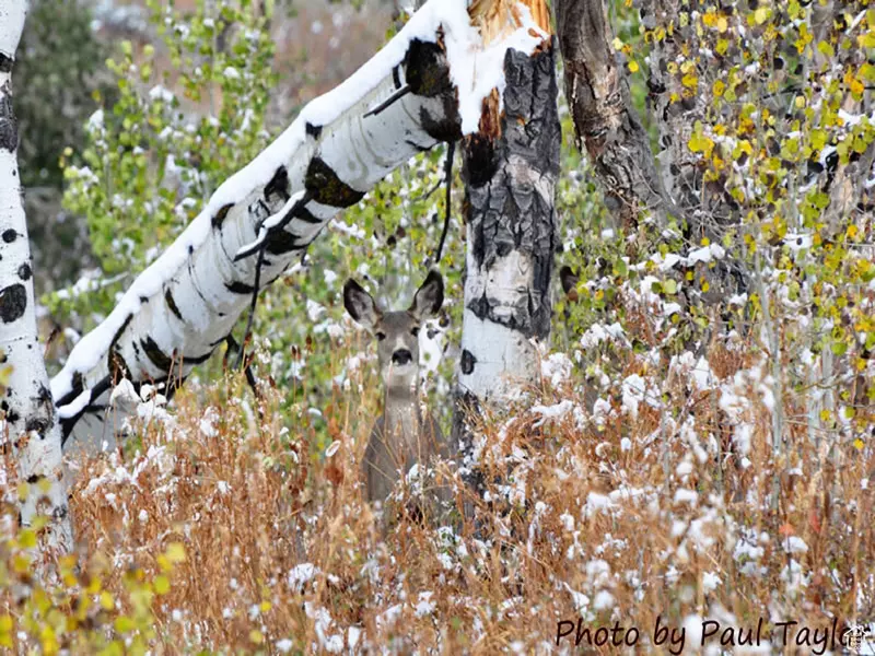 Address Not Disclosed