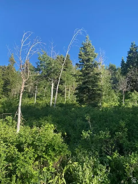 Wanship, UT 84017,969 W DEEP FOREST RD #D155