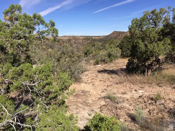 Moab, UT 84532,182 E POLE CANYON #5