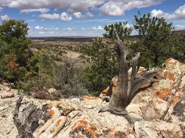 Moab, UT 84532,37 KANE CANYON W #19