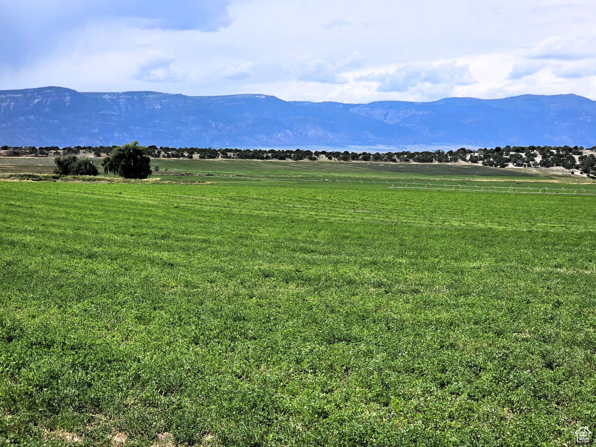 Spring City, UT 84662,4 1000 S #4