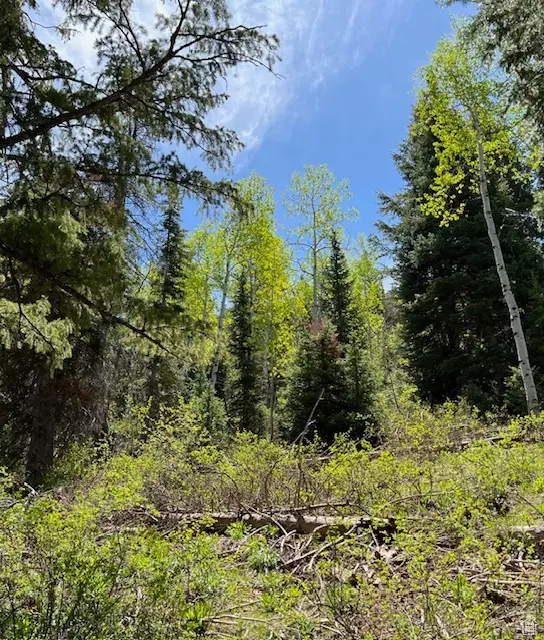 Oakley, UT 84055,550 RED FIR WAY