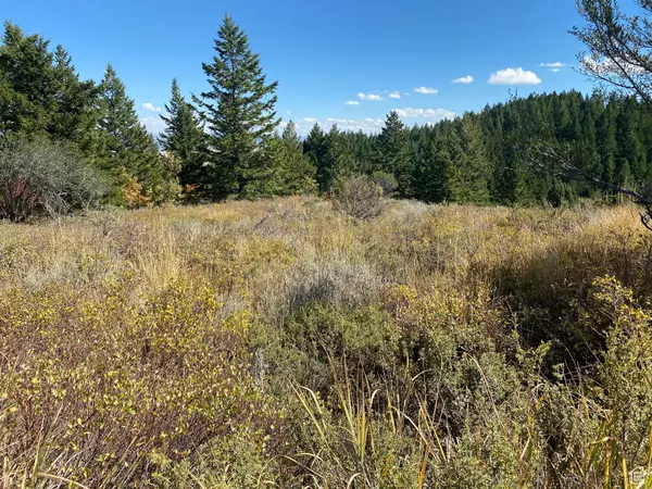 Bancroft, ID 83217,#55