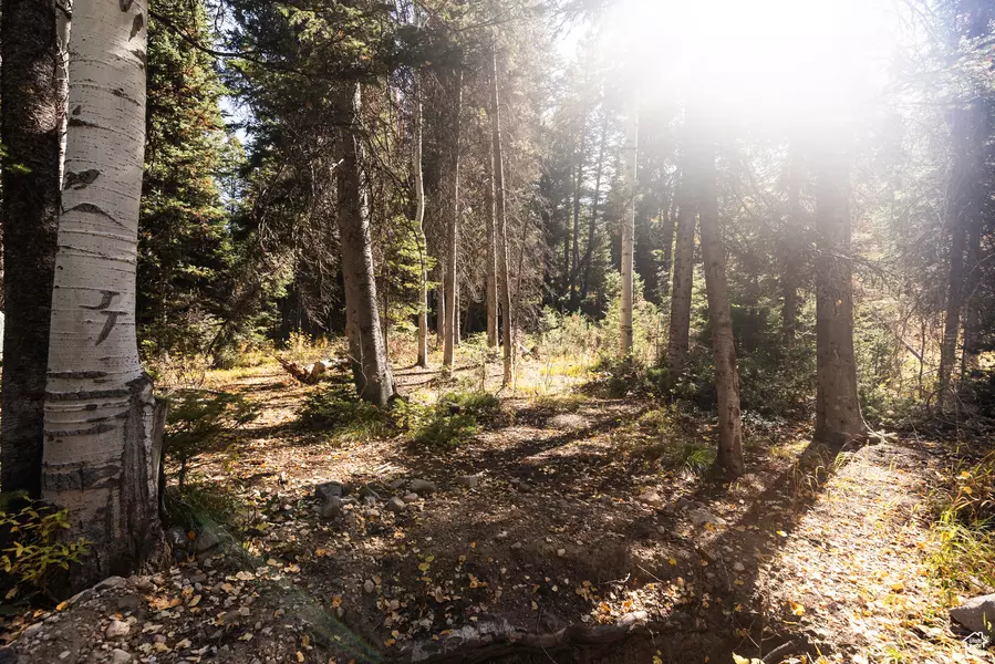 9407 E WILD CLEMATIS LN S, Salt Lake City, UT 84121