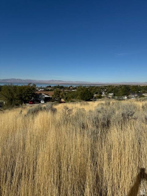 Willard, UT 84340,415 S 200 E #3