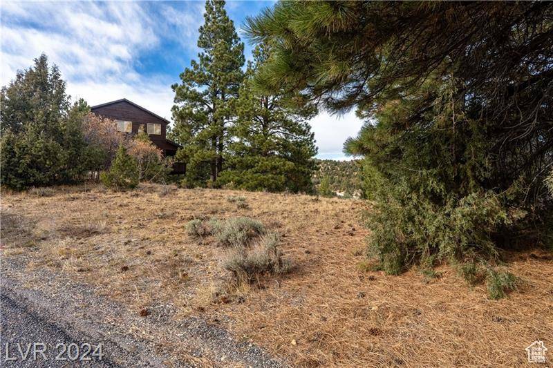 Alton, UT 84710,1320 W ELK RIDGE DR #12
