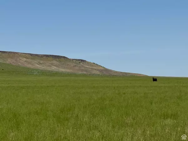 Declo, ID 83323,HWY 81 HWY