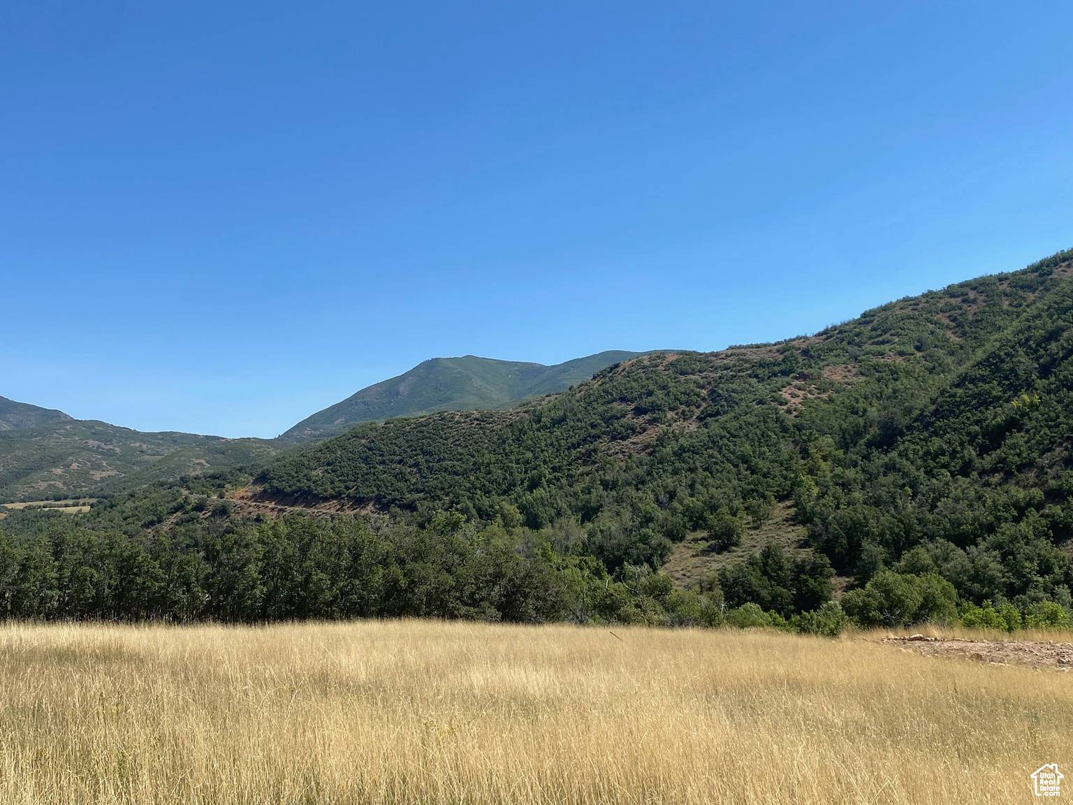 Springville, UT 84663,169 S MEADOW DR E #18