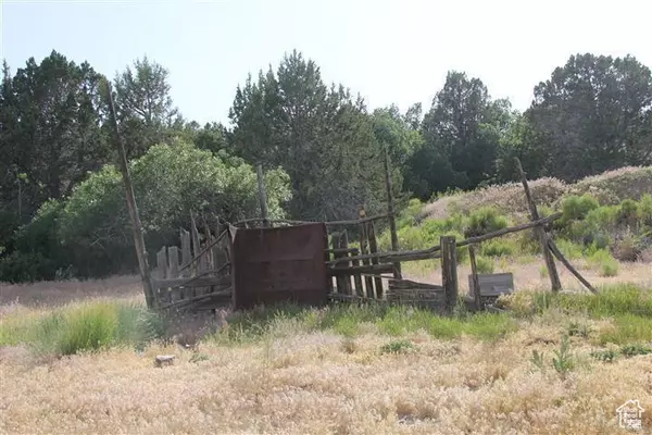 Mount Carmel, UT 84755