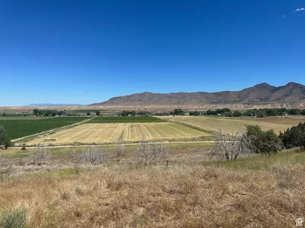 283 JUNIPER HEIGHTS ROAD HTS #14, Leamington, UT 84638