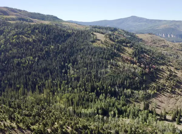 Brian Head, UT 84719