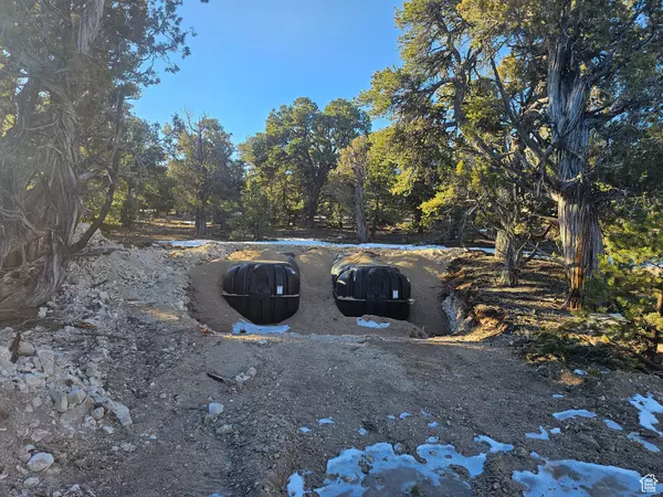 Duchesne, UT 84021,#11