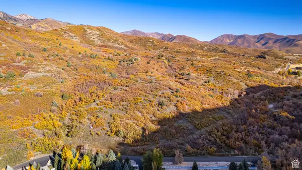 Springville, UT 84663,541 S LEFT FORK HOBBLE CREEK RD E #8