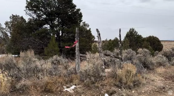 Monticello, UT 84535