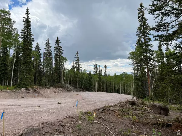 Beaver, UT 84713,2 SKYLINE TERRACE CT #2