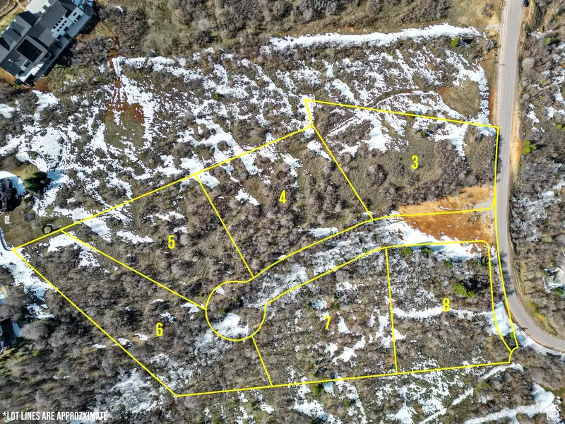 Address Not Disclosed