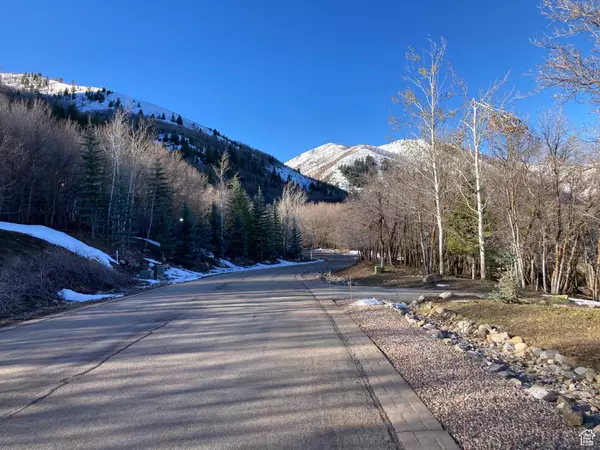 Woodland Hills, UT 84653,1040 S PINEVIEW DR #9