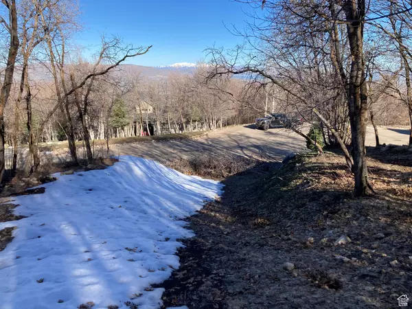 Woodland Hills, UT 84653,1040 S PINEVIEW DR #9