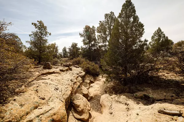 Apple Valley, UT 84737,1 1600 #AV-137