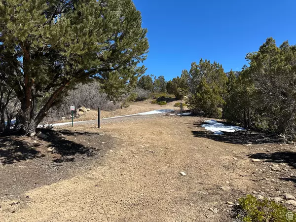 Spring City, UT 84662,194 OAK CREST DR #194