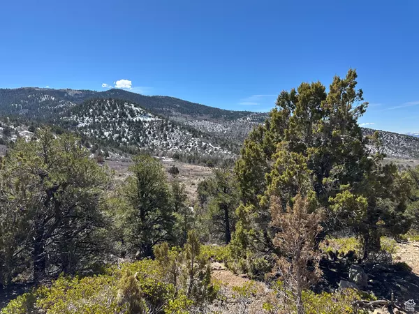 Spring City, UT 84662,194 OAK CREST DR #194