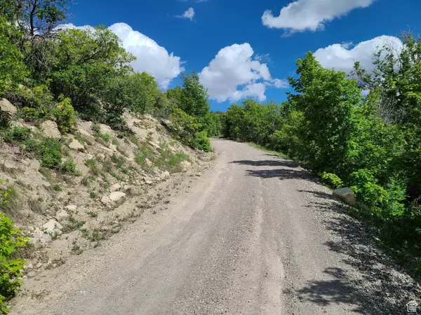 865 E JUNIPER DR #865, Fairview, UT 84629