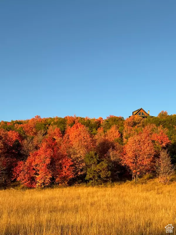 Fairview, UT 84629,23141 N 13835 E #83