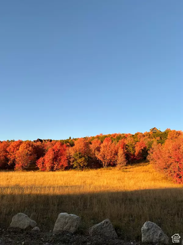 Fairview, UT 84629,23141 N 13835 E #83