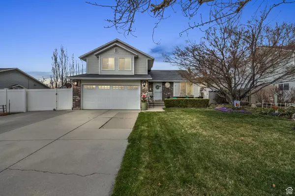 Address Not Disclosed