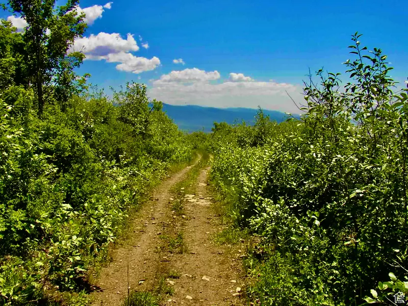 23165 N HILLSIDE DR #G23, Fairview, UT 84629