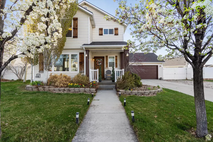 Address Not Disclosed