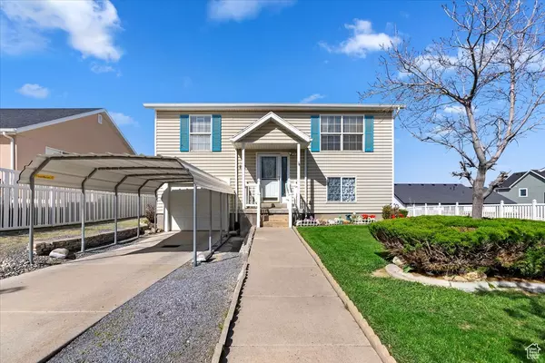 Address Not Disclosed