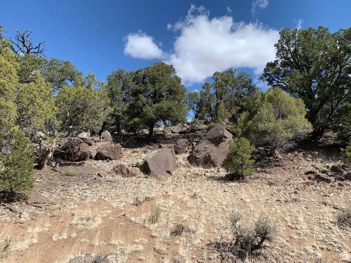 Grover, UT 84773,687 S HWY 12 LOT 1 E #1