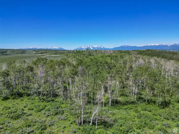 Heber City, UT 84032,2980 N WOLF CREEK RANCH RD #54