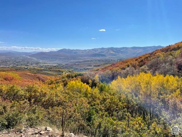 1369 LOWER COVE RD, Park City, UT 84098