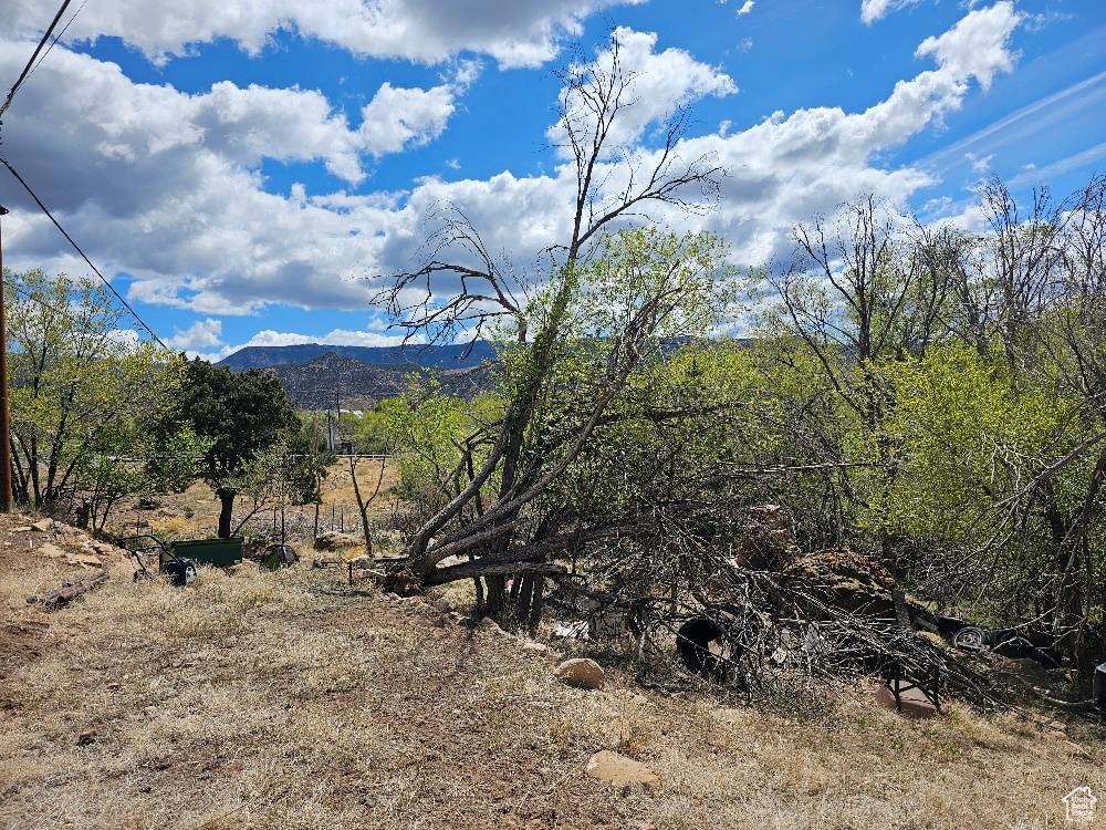 East Carbon, UT 84520,172 GRASSY DR