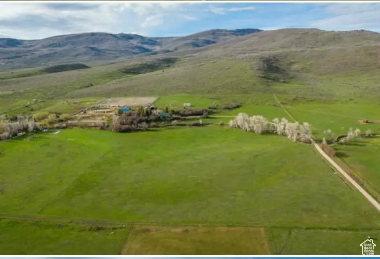 Address Not Disclosed