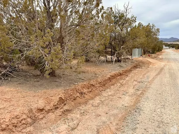 Cedar City, UT 84720,17729 W OLD IRONTOWN RD