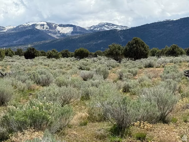 #20, Spring City, UT 84662