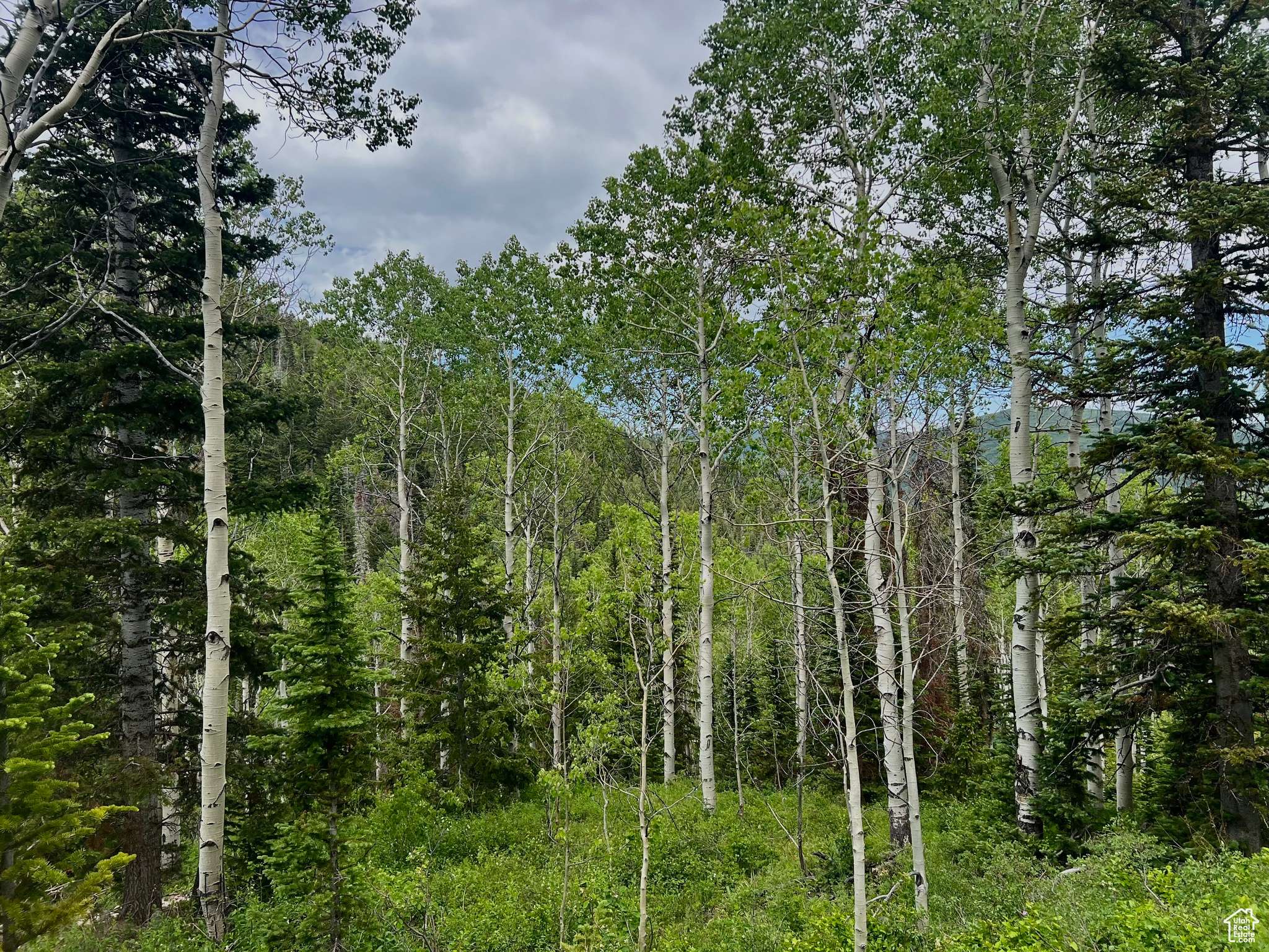 Oakley, UT 84055,8550 N UINTA DR #759