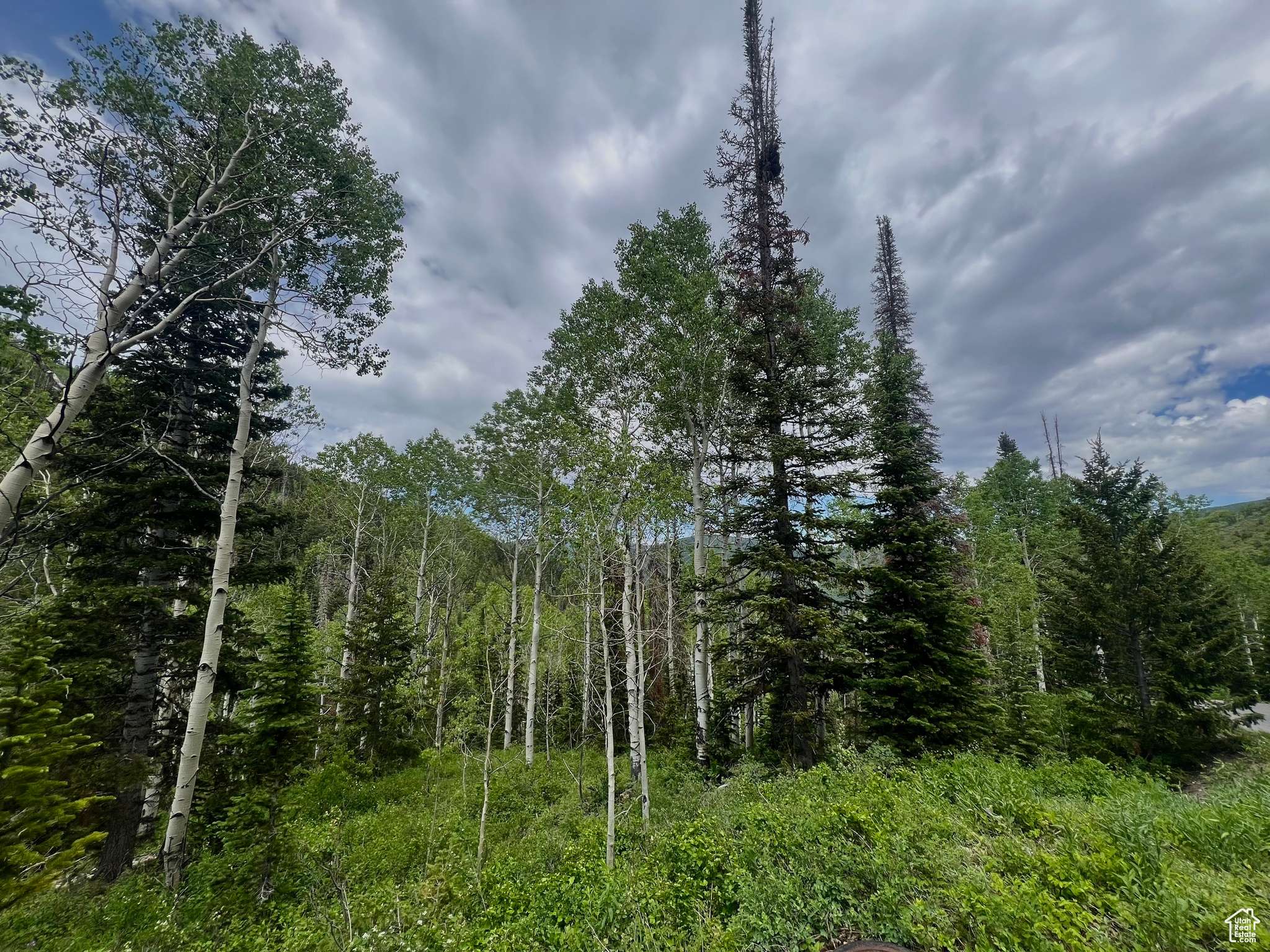 Oakley, UT 84055,8550 N UINTA DR #759