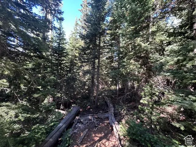 Brian Head, UT 84719