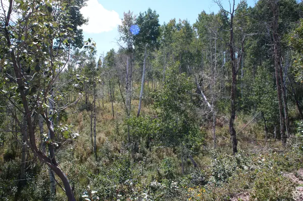 Wanship, UT 84017,2481 FOREST MEADOW RD #D91