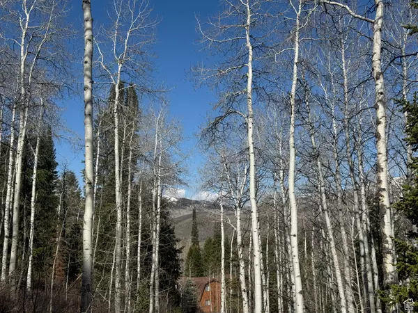 Oakley, UT 84055,663 RED FIR WAY #663