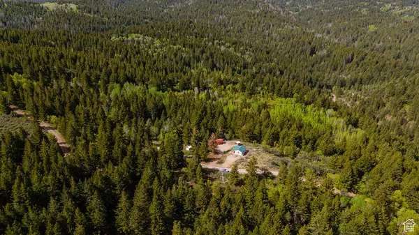 Bancroft, ID 83217,53 SQUAW CRK