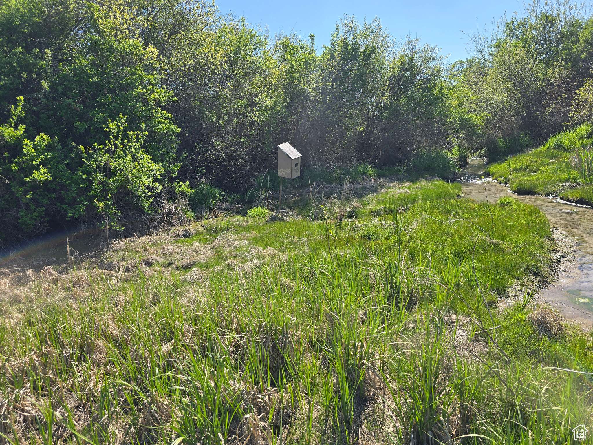 12506 N 525 E #6, Cove, UT 84320